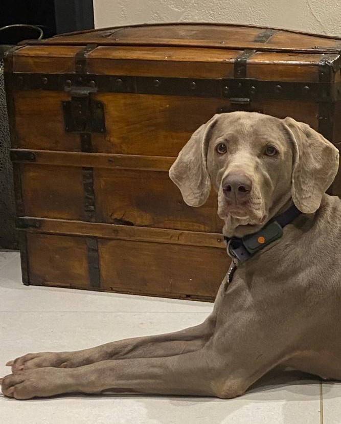 Portée du 29 Septembre 2024